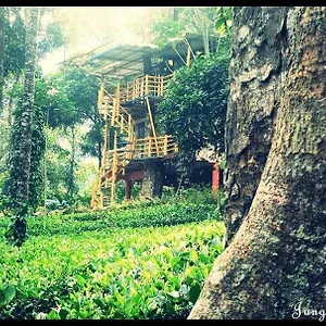 Jungle Jive Treehouse And Munnar